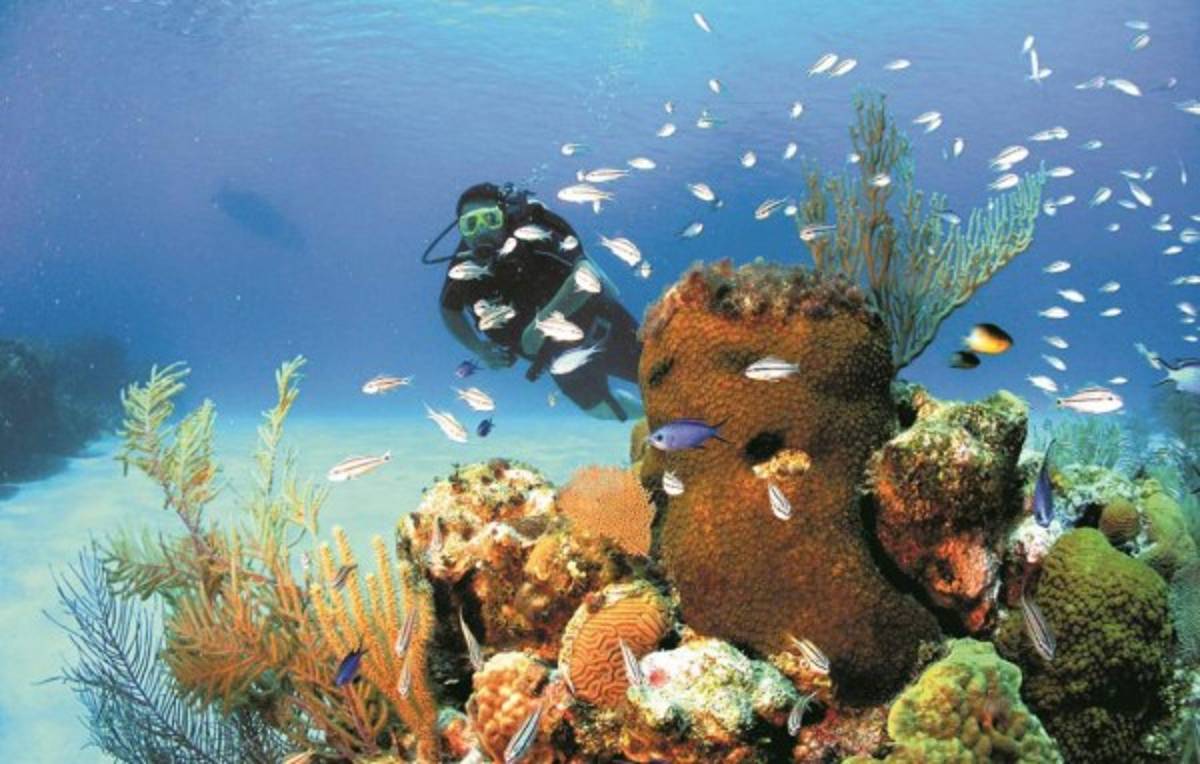 Los 20 paradisíacos lugares de Honduras que debes visitar en Semana Santa