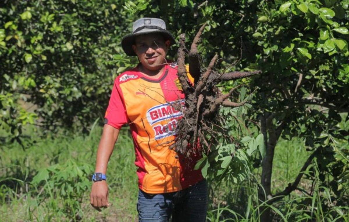 Así es la vida de Cruz Ávila, el mundialista que nunca pierde la sonrisa