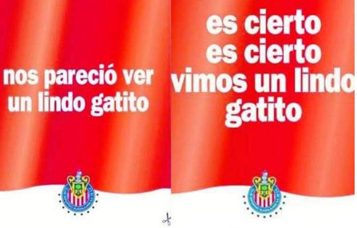 Ser de Pumas en estos momentos es cruel: Los memes que dejó la humillación de UNAM ante Chivas