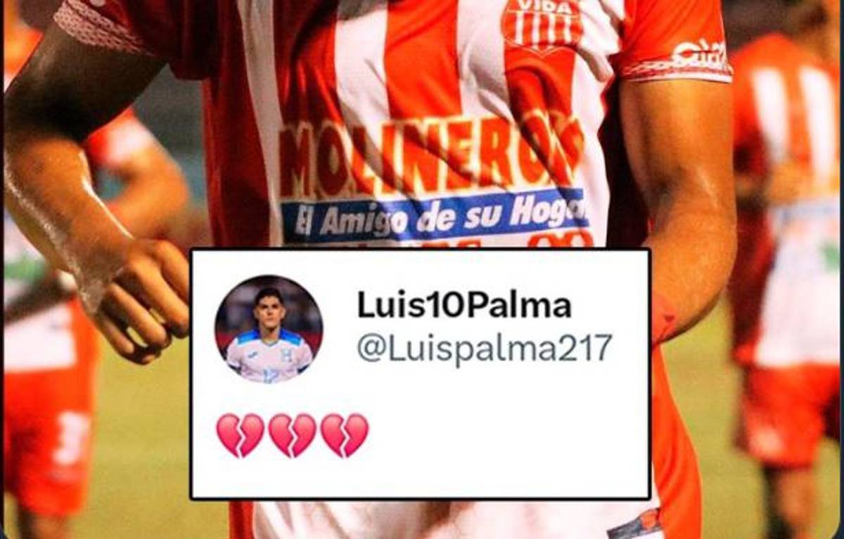 Luis Palma rompe el silencio y señalan al culpable del descenso del Vida: “Lo destruyeron, tiraron a la basura a un histórico”