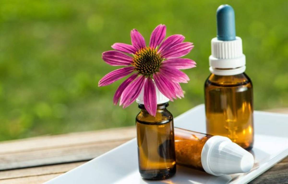 ¿Cómo Messi dejó de vomitar antes de los partidos? Revelan el increíble secreto de su cura   