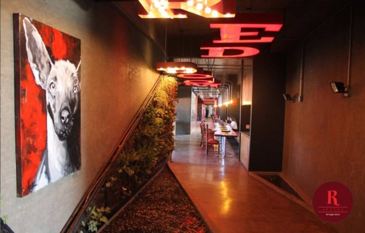 Así es el Estadio Caliente, la casa del Xolos y donde Motagua quiere sorprender