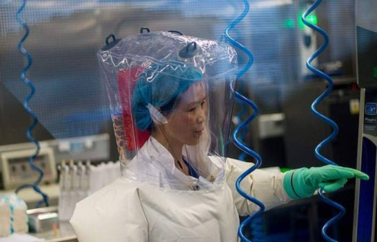 Como película de terror: El laboratorio que dejó escapar el coronavirus ¿cómo arma biológica?