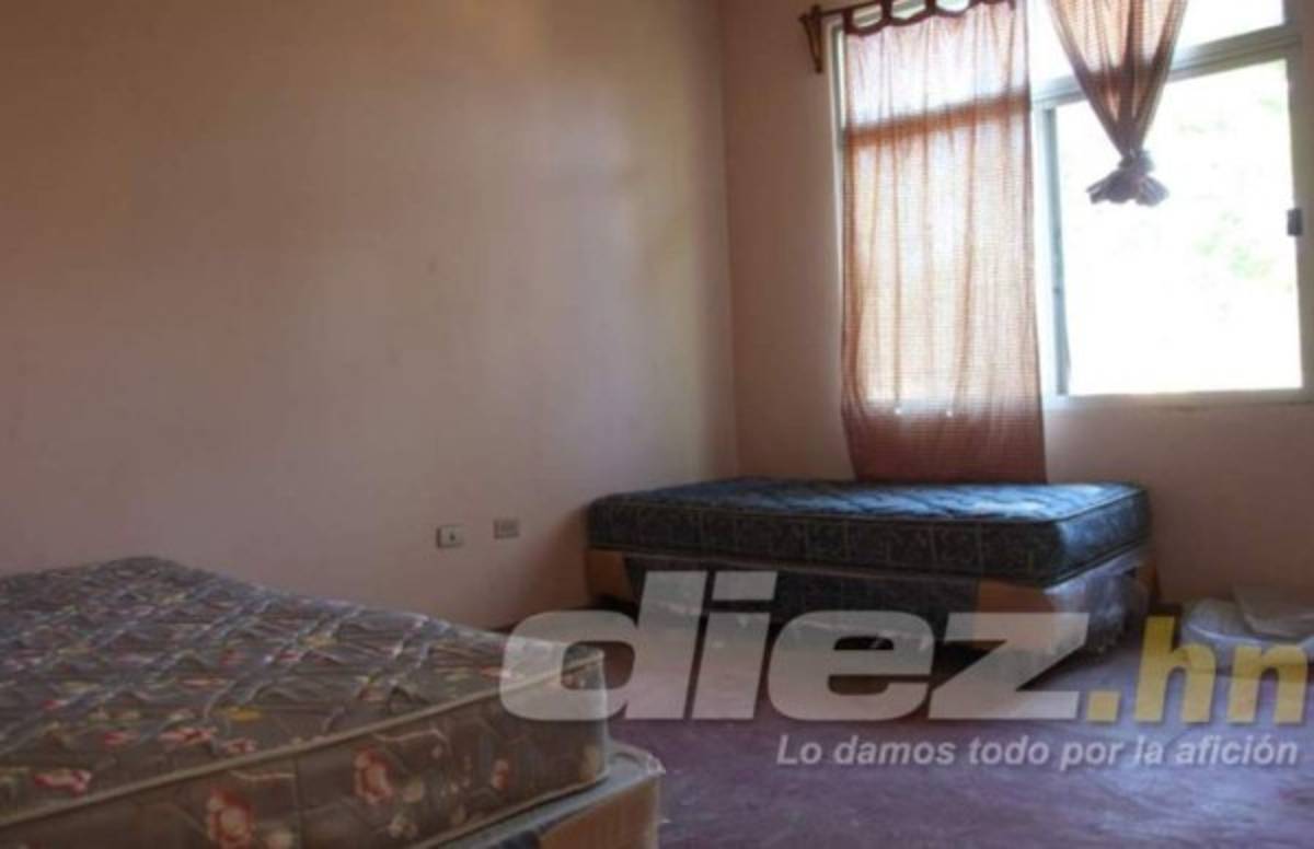 Vida volvería a su sede principal en una concesión por 30 años: presidente Luis Cruz anuncia remodelaciones