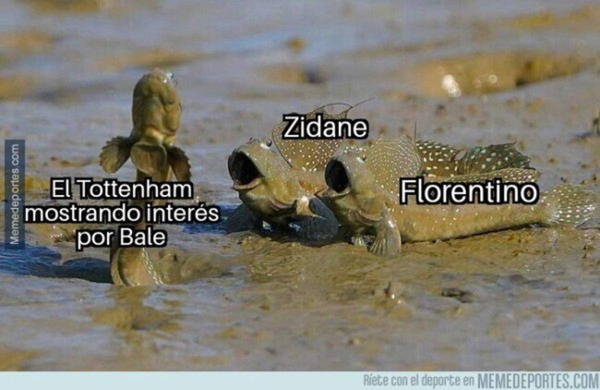 Los mejores memes del fin de semana destrozan al Barcelona y también al Real Madrid