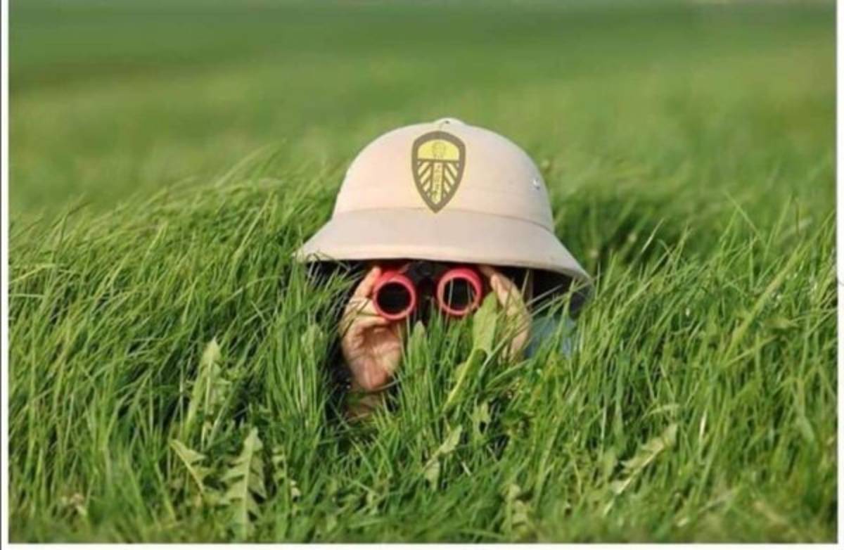 Los memes atacan a Marcelo Bielsa por su caso de espionaje