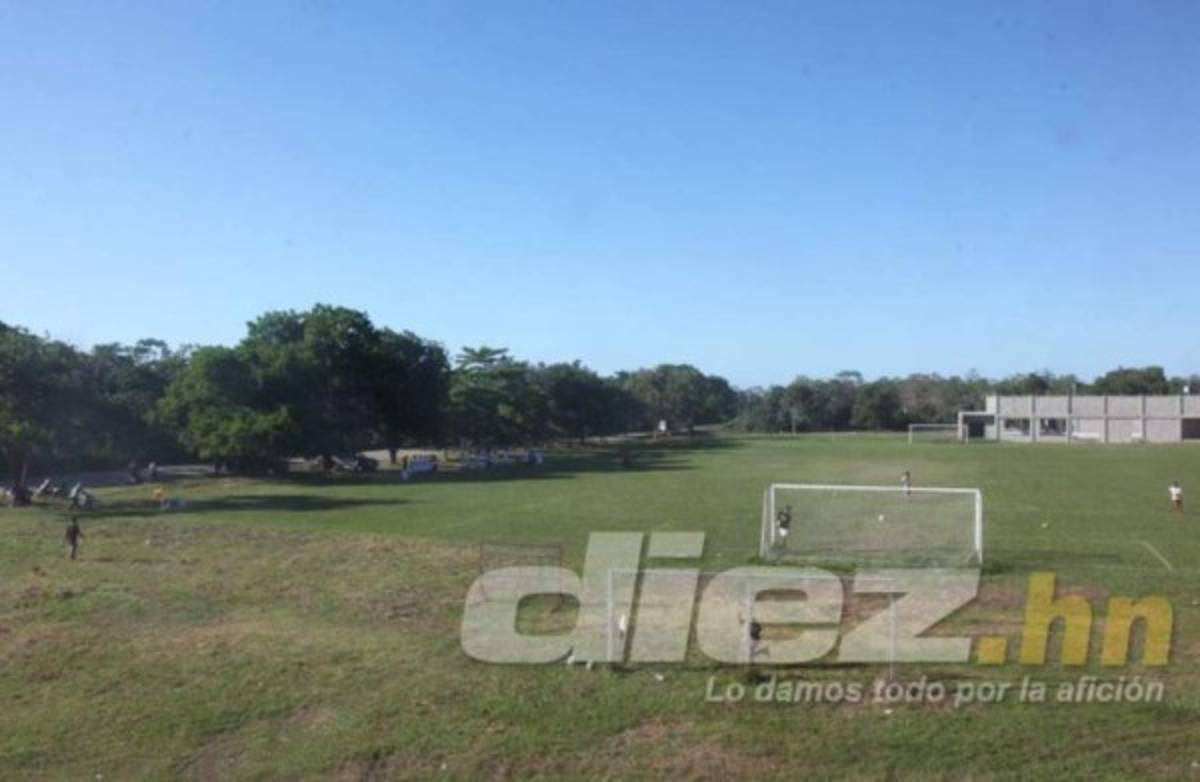 Vida volvería a su sede principal en una concesión por 30 años: presidente Luis Cruz anuncia remodelaciones