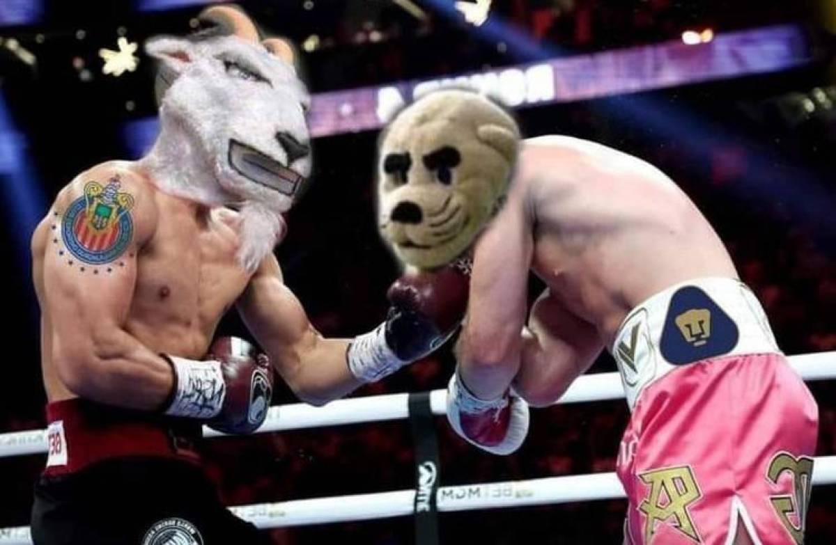 Ser de Pumas en estos momentos es cruel: Los memes que dejó la humillación de UNAM ante Chivas