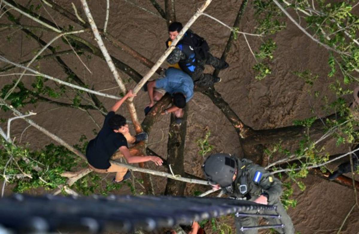 Impactante: El dramático rescate de hondureños que estaban en un árbol tras el paso de Iota