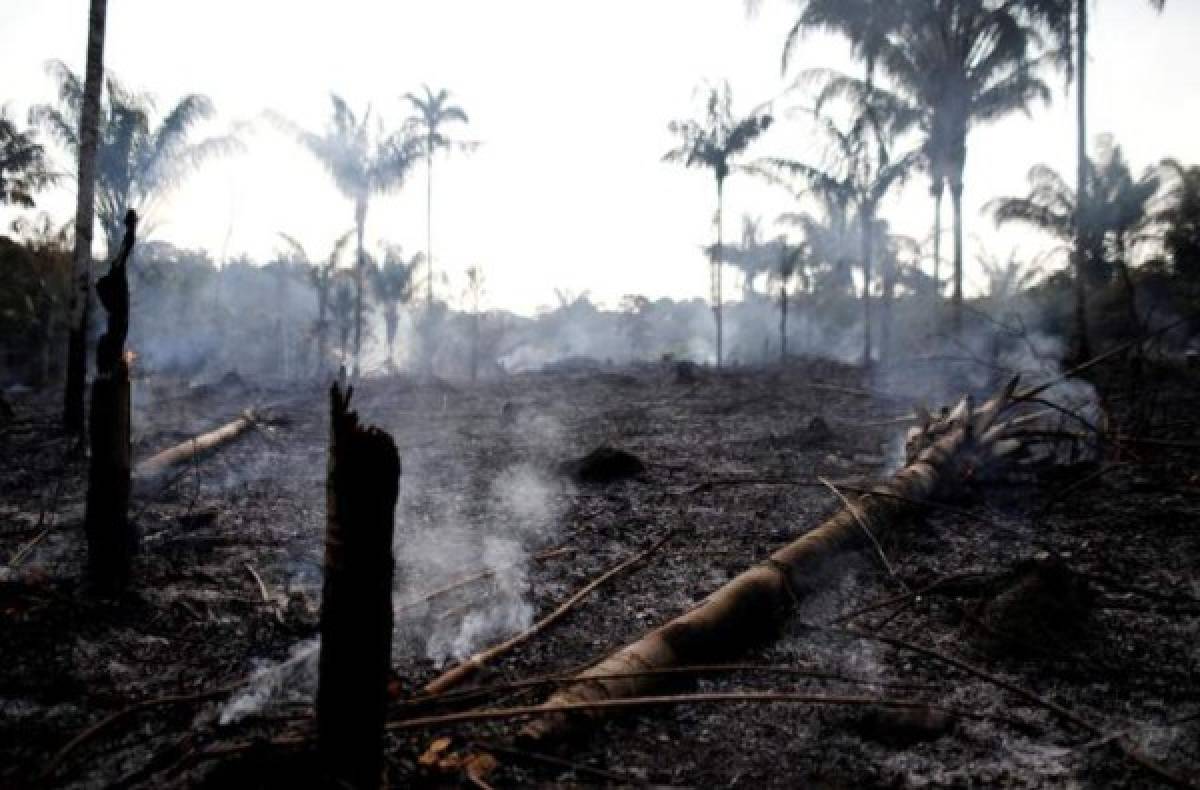 Las imágenes del terrible incendio que devora el Amazonas, el pulmón del mundo