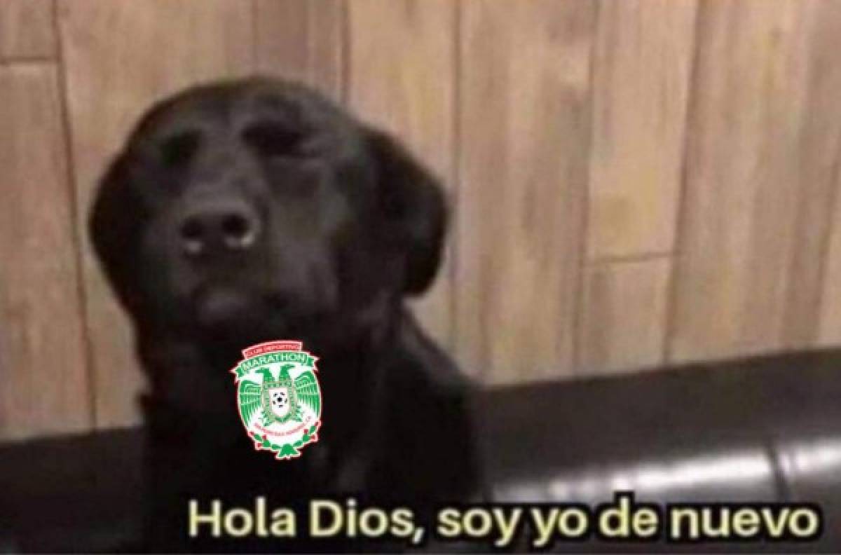 Memes: Tremendas burlas contra Marathón tras la derrota ante Saprissa en la Liga de Concacaf