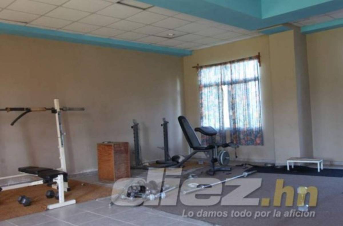 Vida volvería a su sede principal en una concesión por 30 años: presidente Luis Cruz anuncia remodelaciones