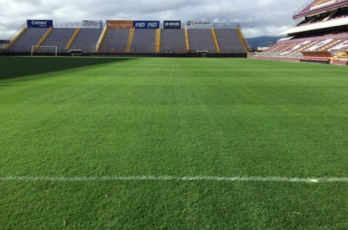 Gramilla de estadio tico es la mejor de América y solo escenarios de Europa pueden estar a su nivel