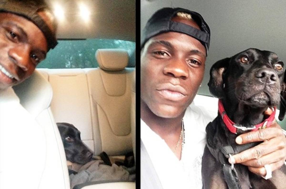 Los espectaculares perros de los futbolistas en el #DíaDelPerro