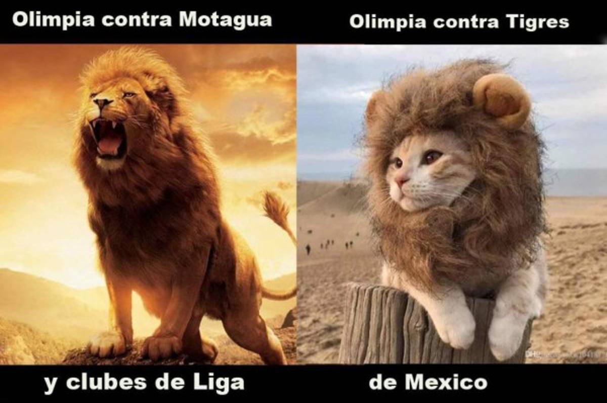 Memes: aficionados motagüenses, protagonistas de las burlas al Olimpia tras la eliminación en Concacaf