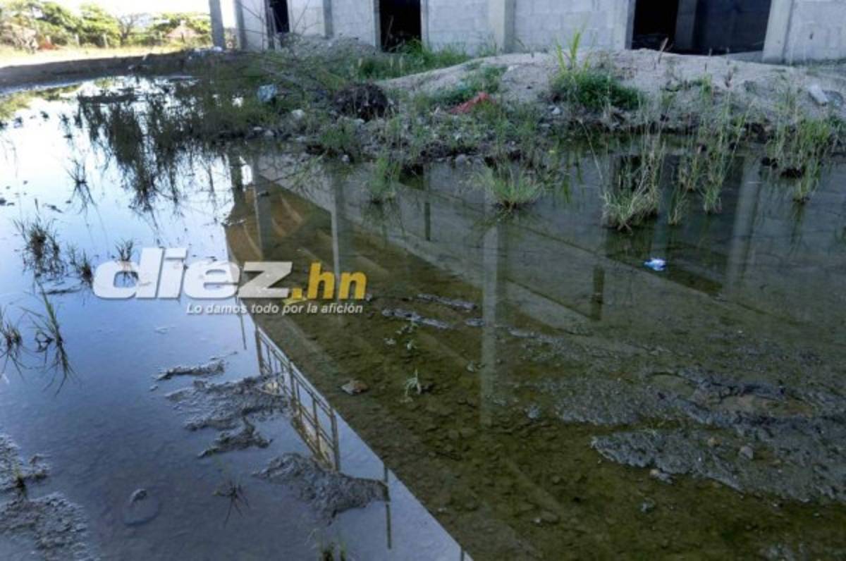 ¡Daño total en el engramillado! Así luce el estadio de Parrillas One tras ser azotado por dos huracanes