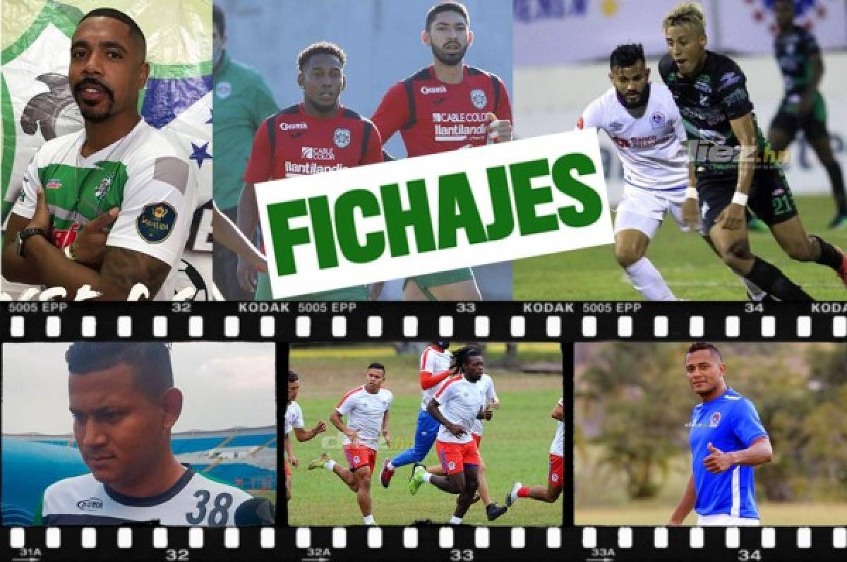 FICHAJES: Marathón anuncia fichaje de un argentino y Olimpia confirma renovaciones