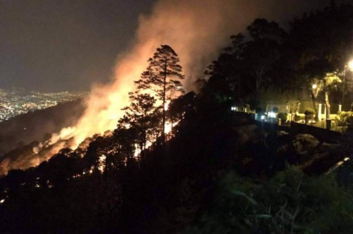 INFORME ESPECIAL: Treinta hectáreas de bosque son incendiados en Tegucigalpa
