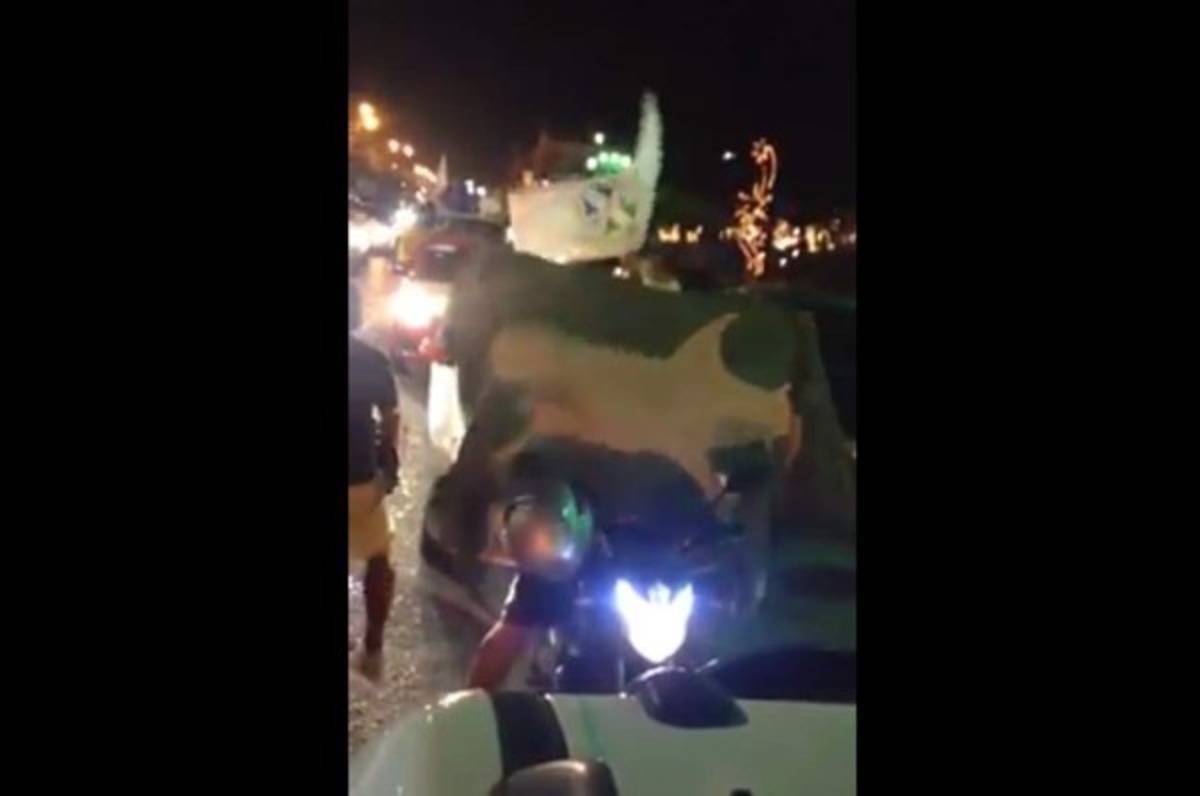 VIDEO: Aficionados realizan caravana en Puerto Cortés en apoyo al Platense