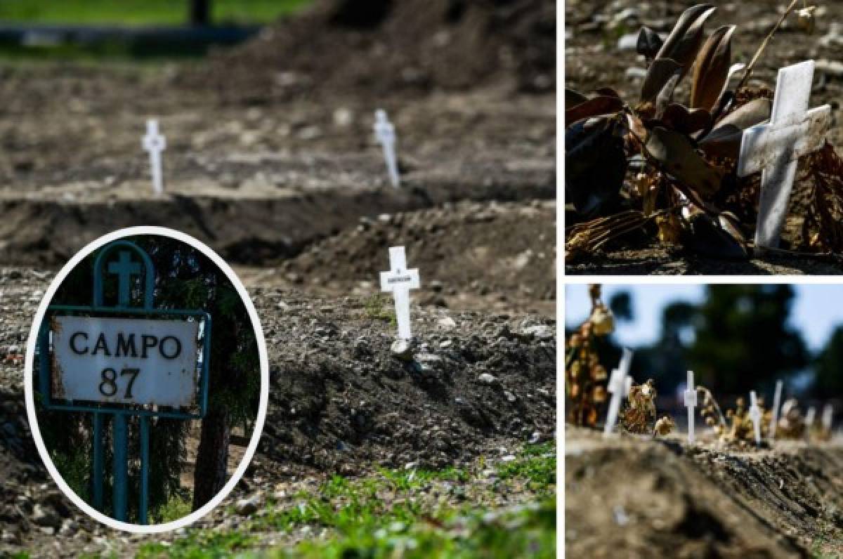 Así es el Campo 87: El cementerio donde entierran a las víctimas del coronavirus que nadie reclama