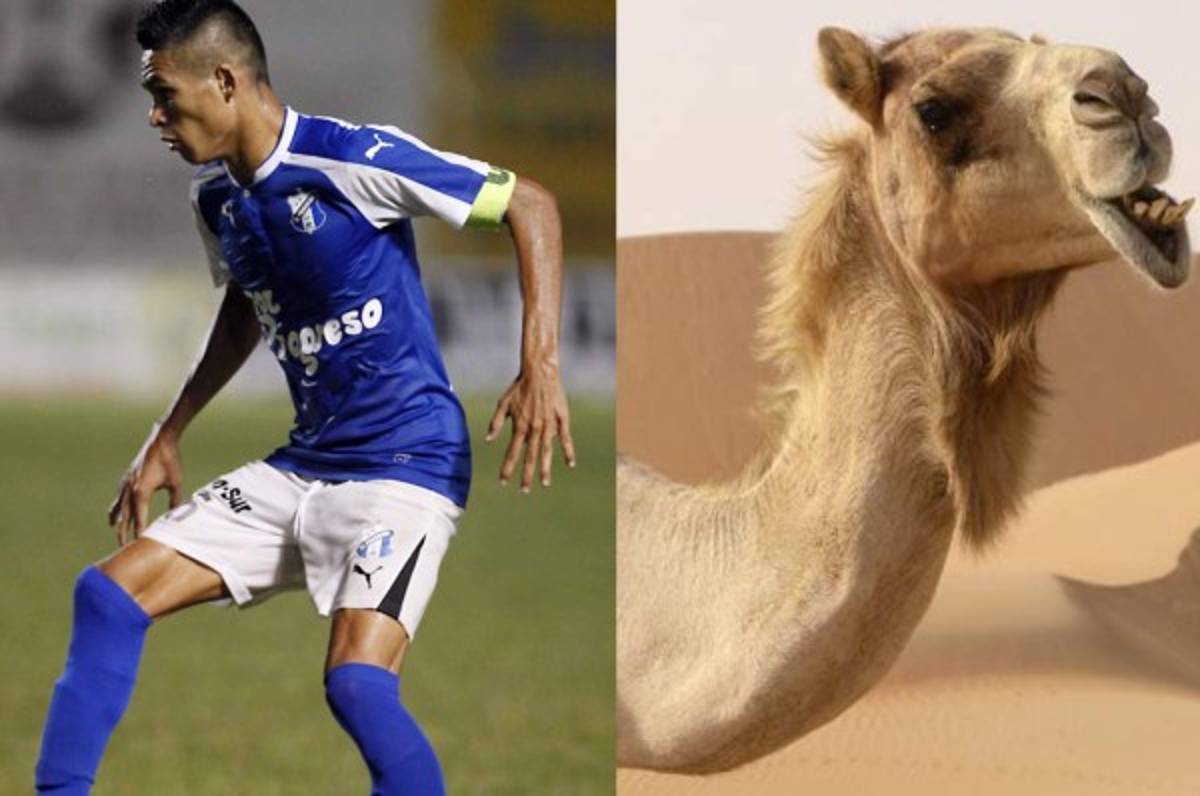 Los curiosos y novedosos apodos de los jugadores del Motagua y Honduras Progreso