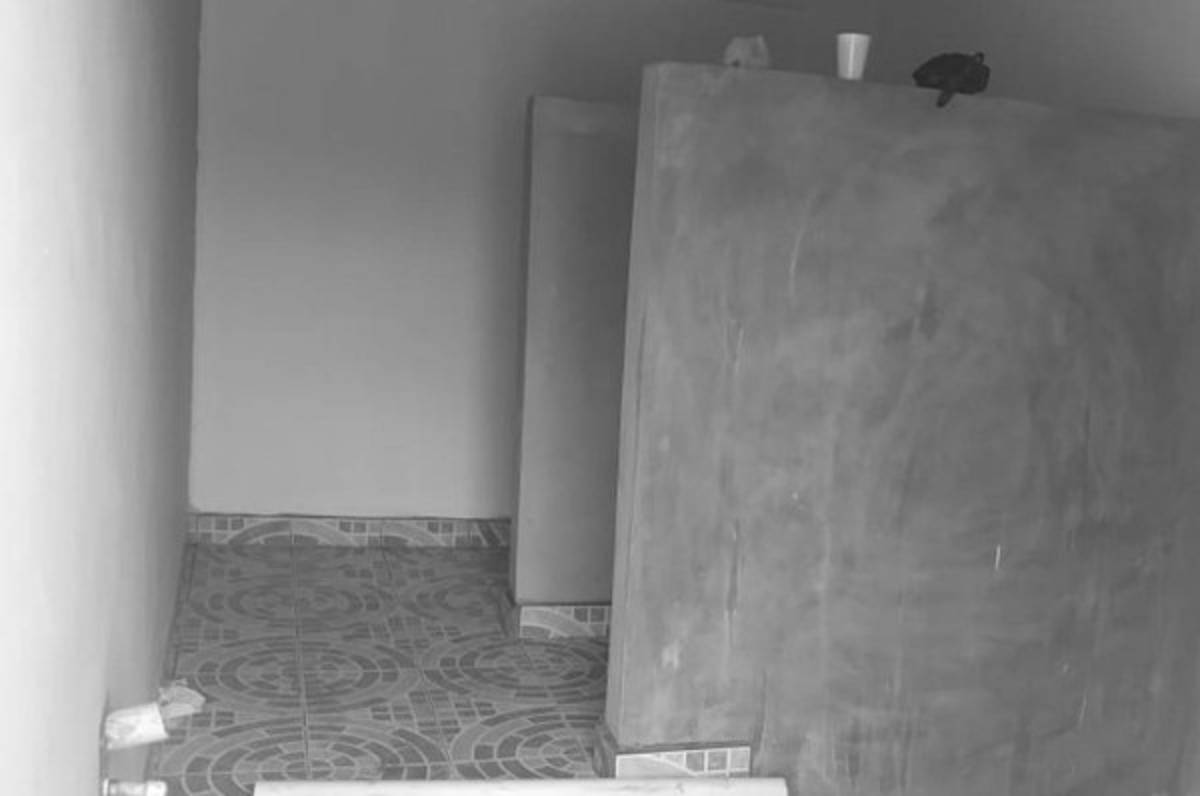 ¡Es una belleza! Conoce el nuevo estadio Municipal de Salamá, Olancho