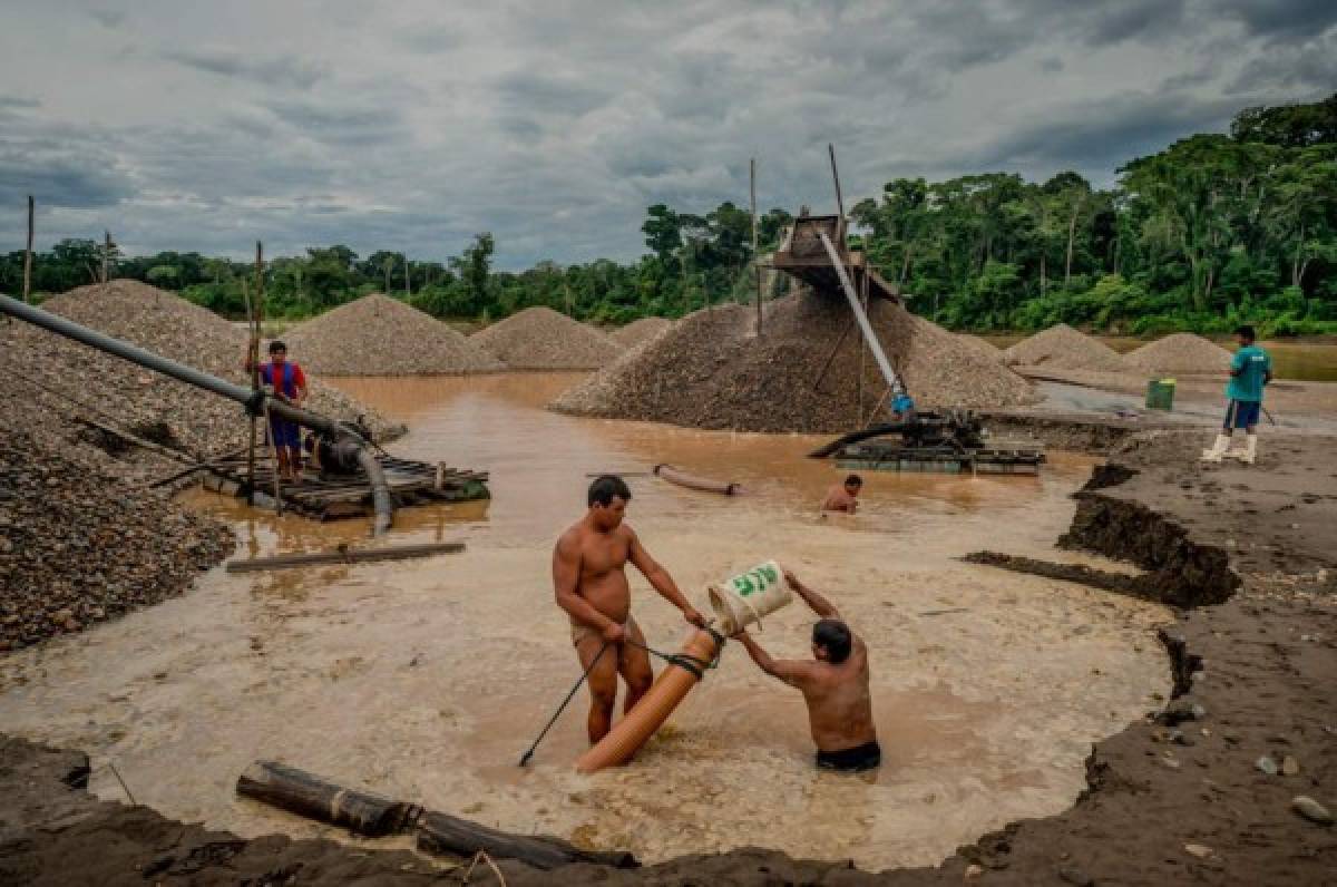 'Ríos de Oro': Las imágenes de la NASA revelan la destrucción de la minería ilegal en la Amazonia