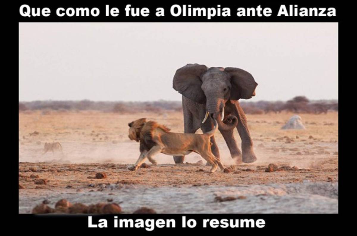 Los memes despedazan al Olimpia tras perder ante Alianza