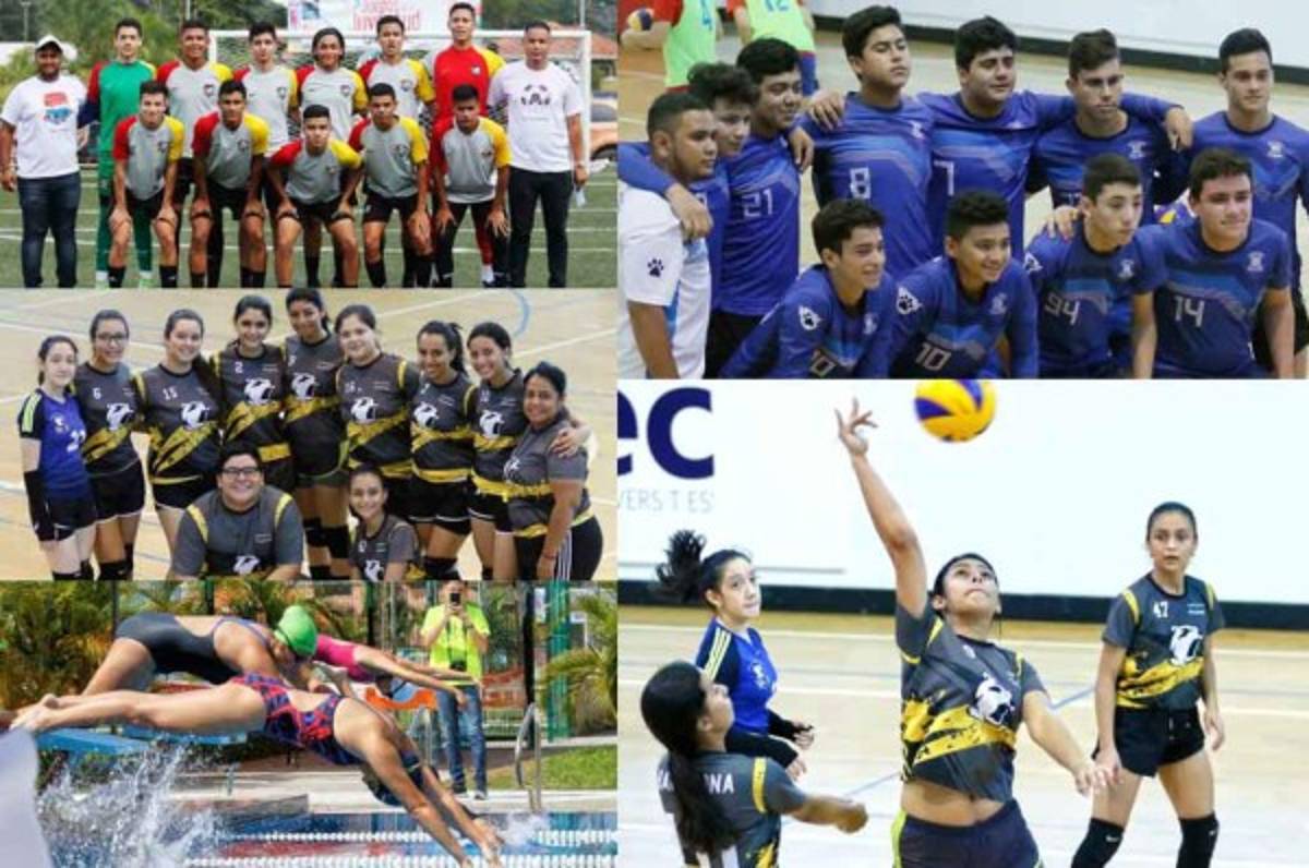 Sigue la competencia de los Juegos de la Juventud 2018