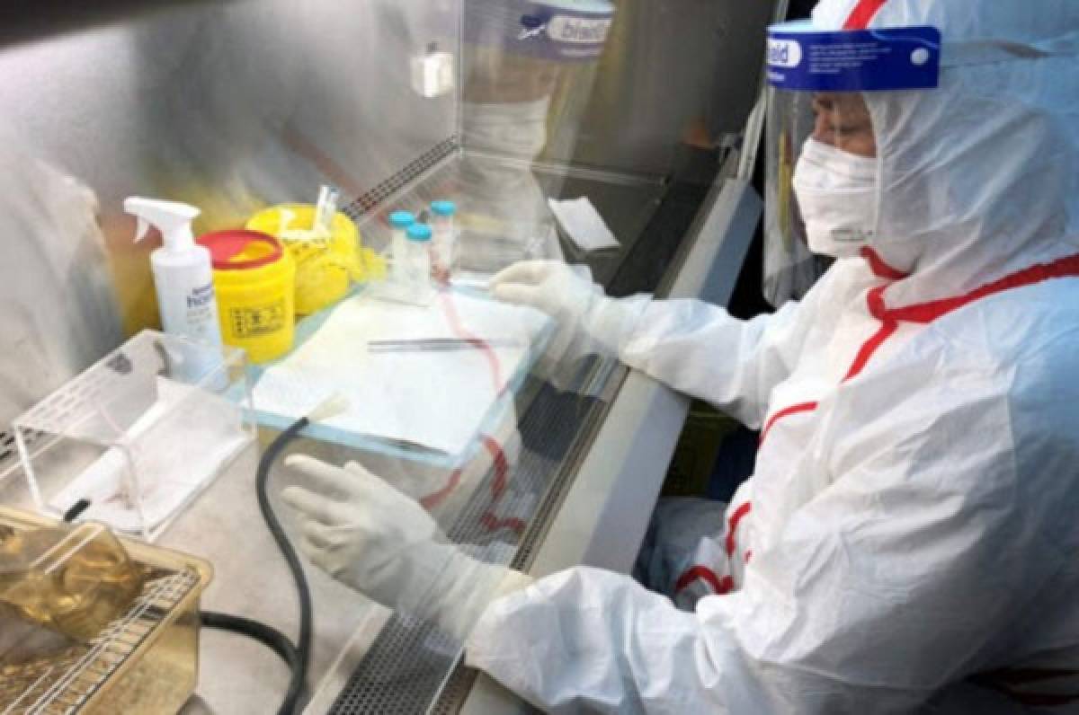 Five Eyes: El informe que revela que China ocultó y destruyó evidencias del coronavirus