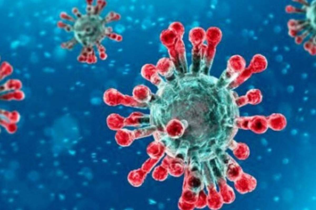 Coronavirus pierde la mitad de sus partículas en menos de dos minutos al estar bajo el sol