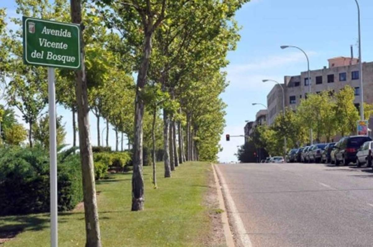 TOP: Grandes íconos del fútbol que tiene una calle o avenida a su nombre