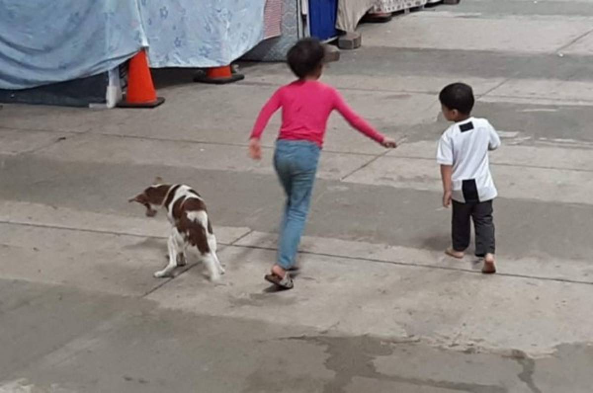 Descuido total: Así luce la Villa Olímpica tras un año sin actividad de los atletas hondureños