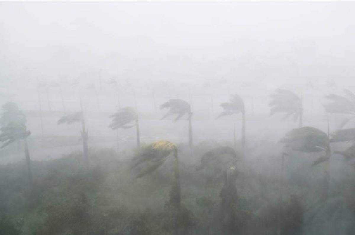 INFORME ESPECIAL: Huracán Irma retrogradado a tormenta tropical