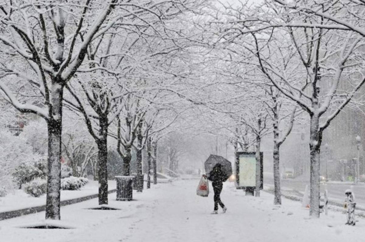 ¡Alerta por la tormenta invernal en el noreste de Estados Unidos!
