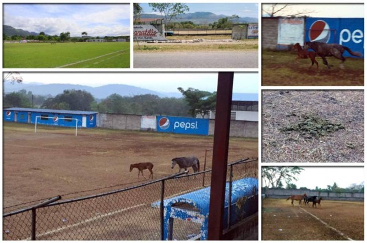 ¡Sirve de potrero! Así de descuidado luce uno de los estadios de Honduras