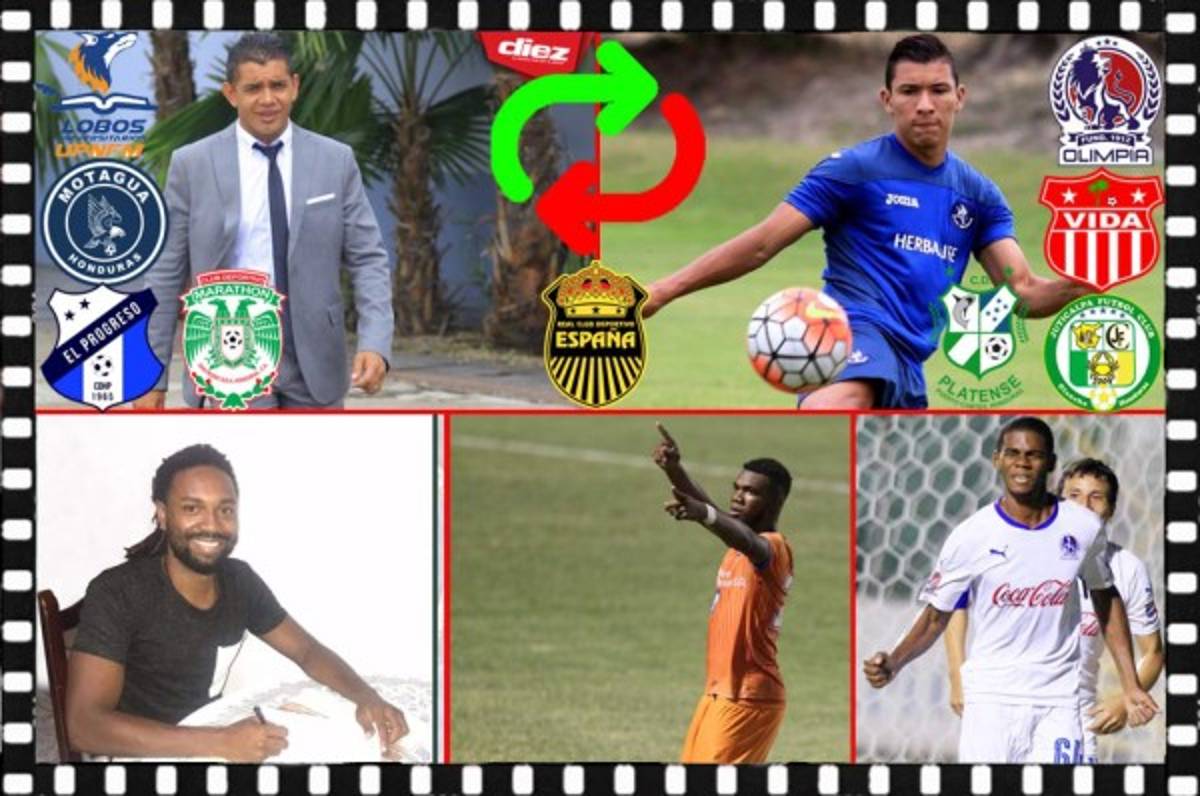 Rumores/Fichajes: Amado dirigiría en el extranjero, Marathón ficha otro jugador