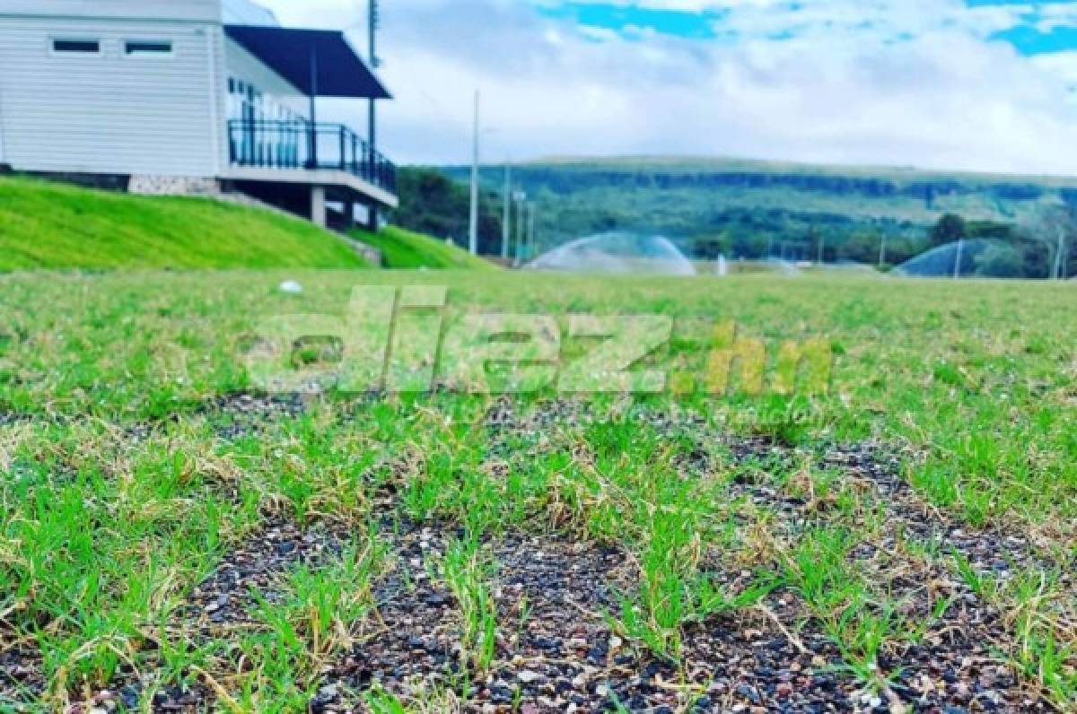 ¡Casi listo! Así lucen las canchas de la Sede del Olimpia previstas para inaugurar en marzo