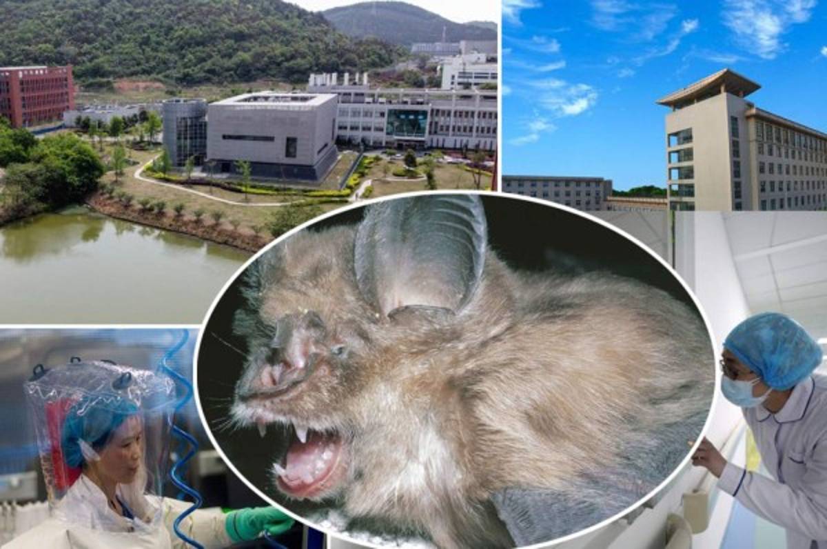 Como película de terror: El laboratorio que dejó escapar el coronavirus ¿cómo arma biológica?