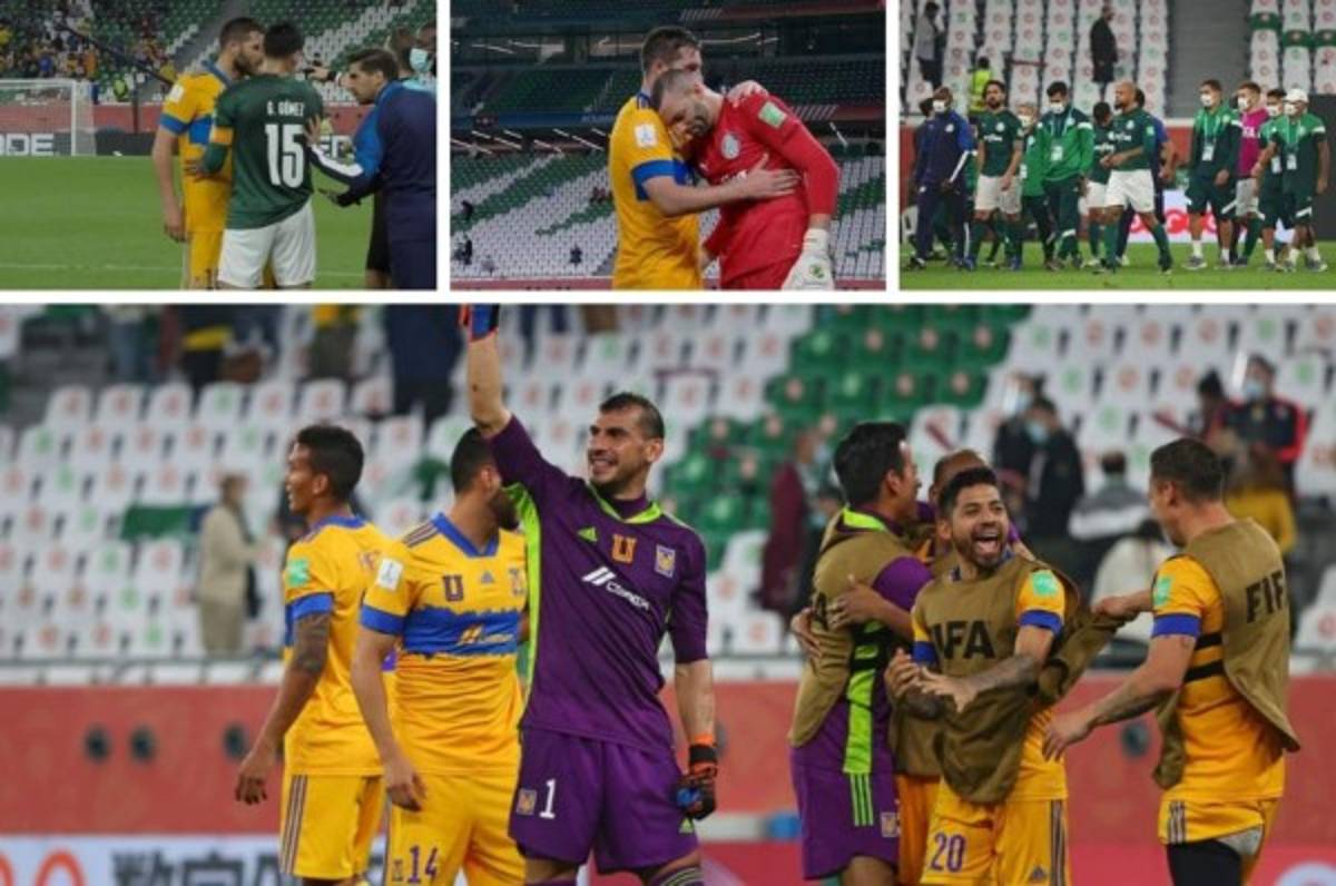 Fotos: La bronca de Gignac con el técnico de Palmeiras y el tremendo festejo de Tigres