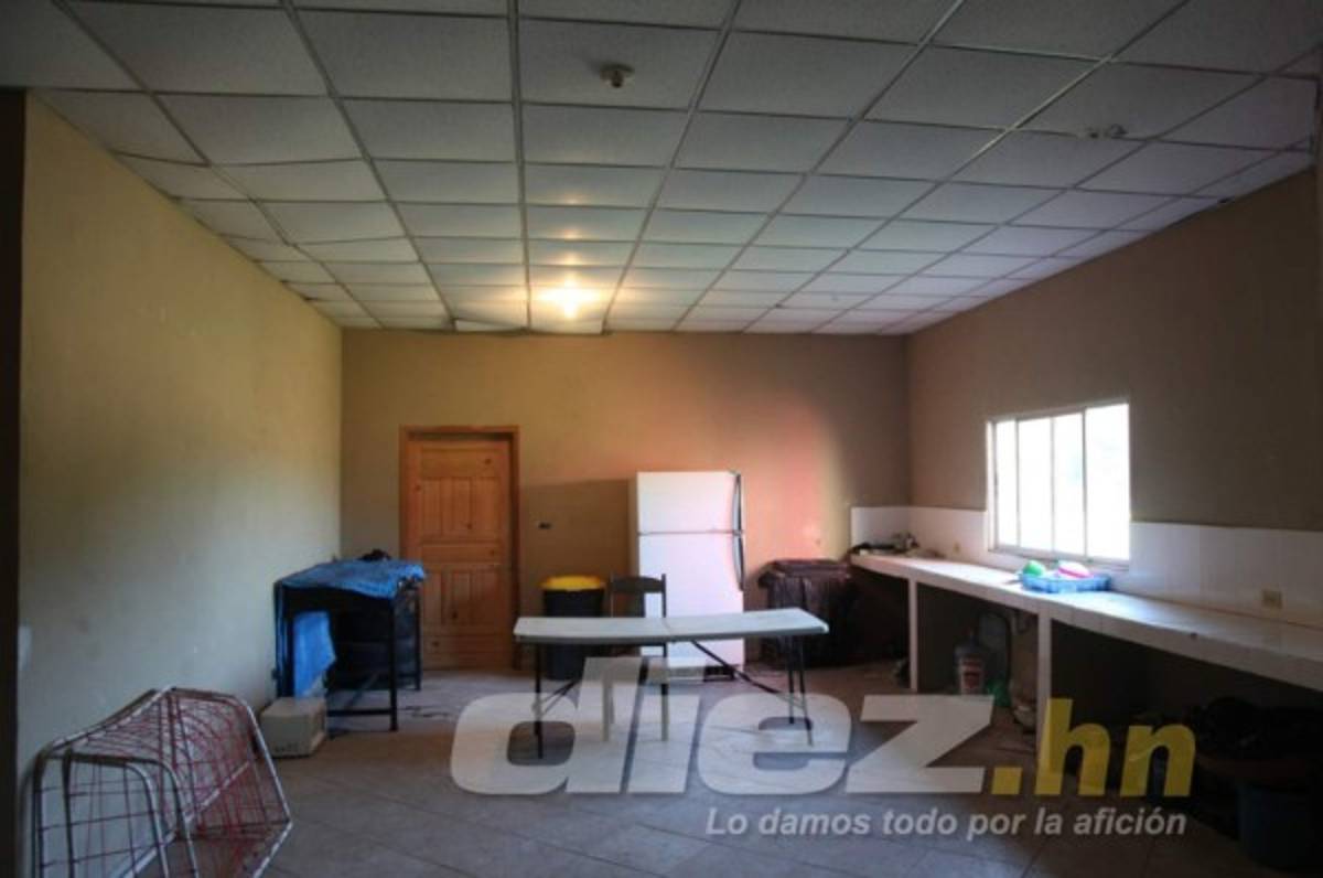 Conocé el patrimonio del Vida en La Ceiba, una sede con más de una década