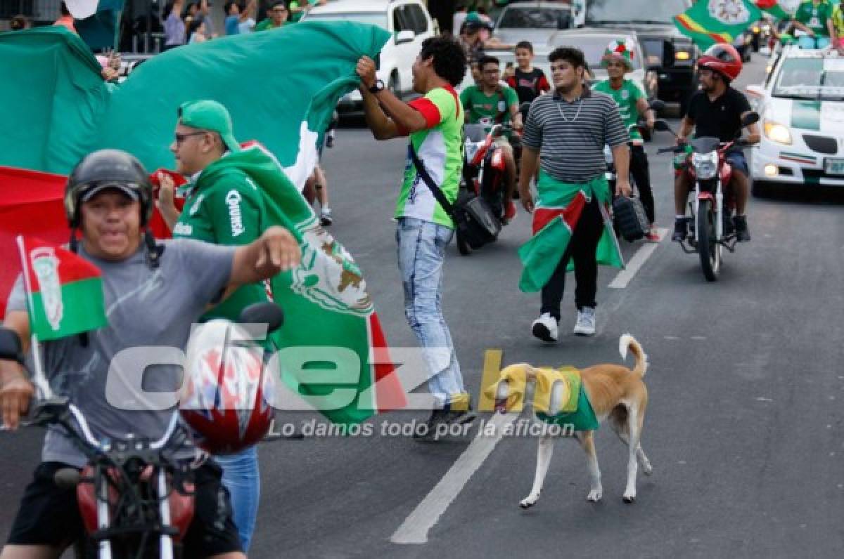 ¡Locura y hermosura! San Pedro Sula sigue celebrando la novena copa del Marathón