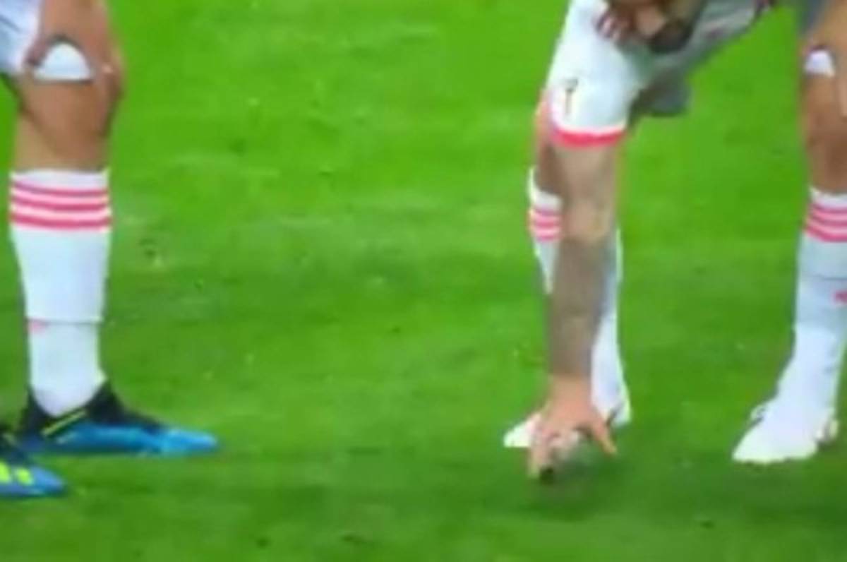 Ejemplar: Isco le salva la vida a un pajarito en juego España-Irán