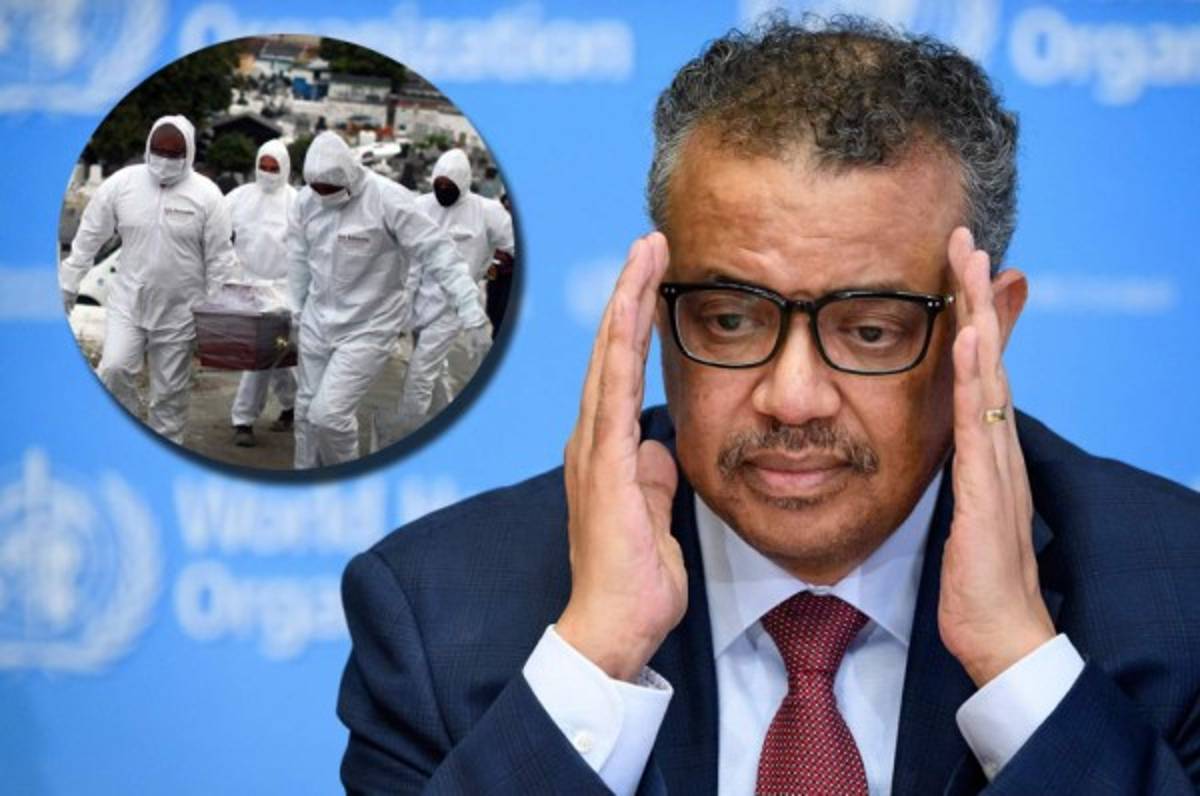 La OMS confirma el verdadero origen de la pandemia del COVID-19: ''Todo apunta a eso''