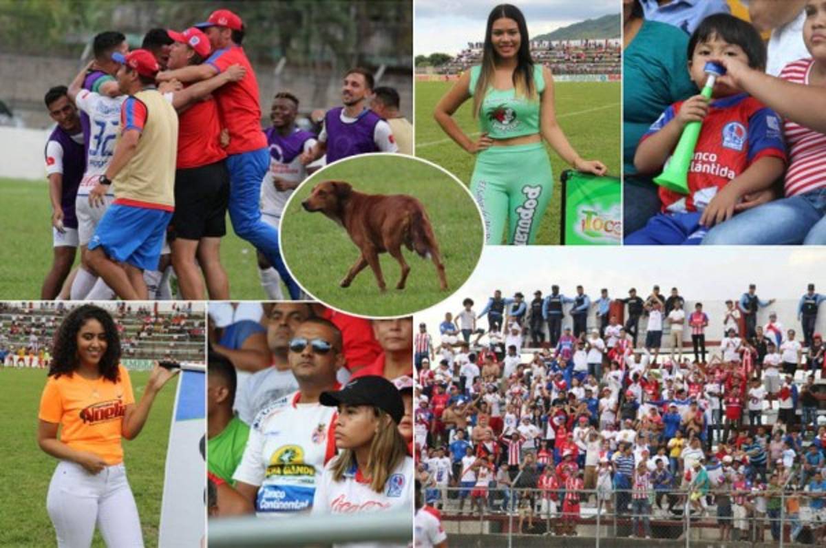El emotivo festejo de Pedro Troglio, Firulais en la cancha y la fiesta blanca en Tocoa