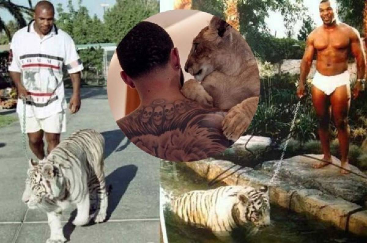 A lo Mike Tyson: Memphis Depay decide adoptar un león como mascota y le llueven las criticas