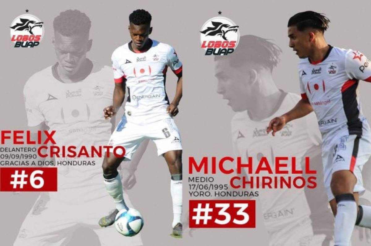 Lobos felicitó a Michaell Chirinos y Félix Crisanto por su convocatoria a la Selección de Honduras
