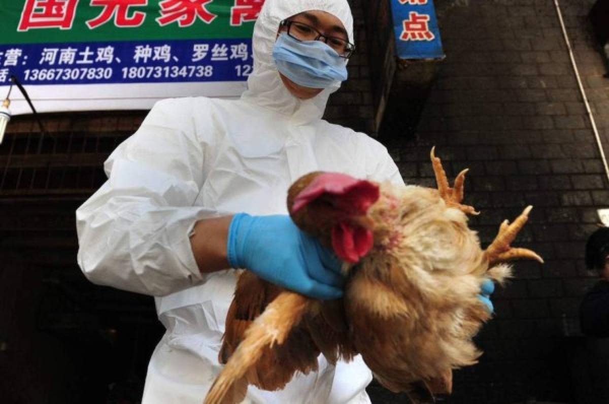 INFORME ESPECIAL: China confirma primer contagio humano de cepa de gripe aviar H10N3