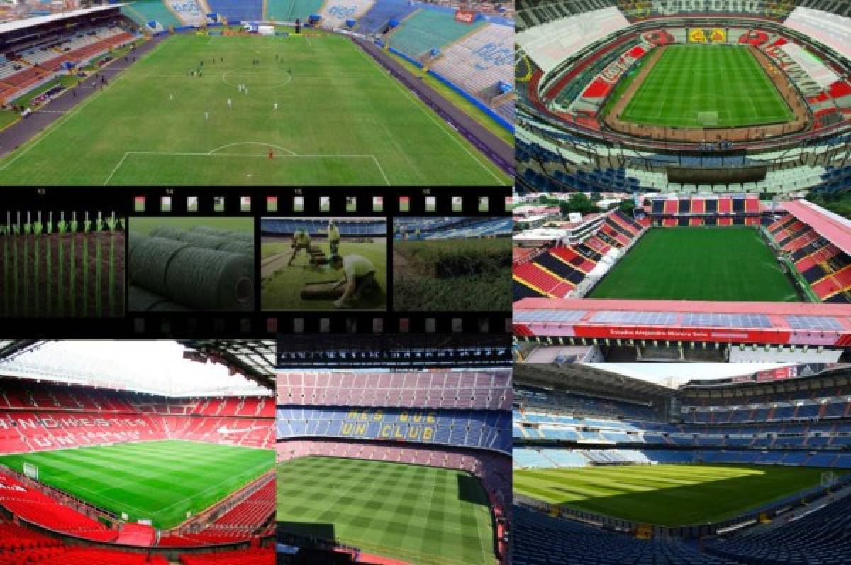 Así sería el Nacional: Los estadios que tienen césped híbrido en el mundo