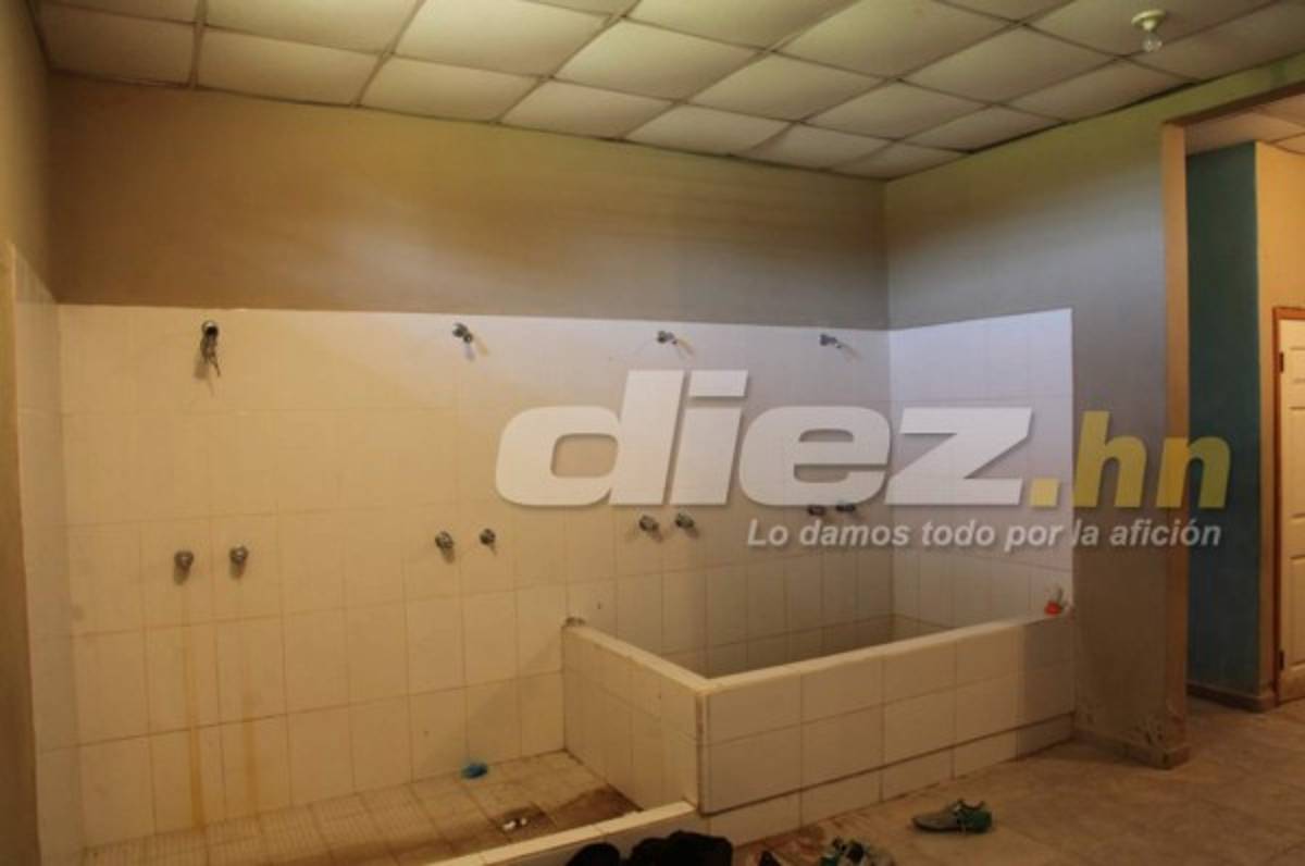 Conocé el patrimonio del Vida en La Ceiba, una sede con más de una década